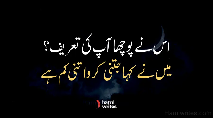 Best Attitude Poetry in Urdu