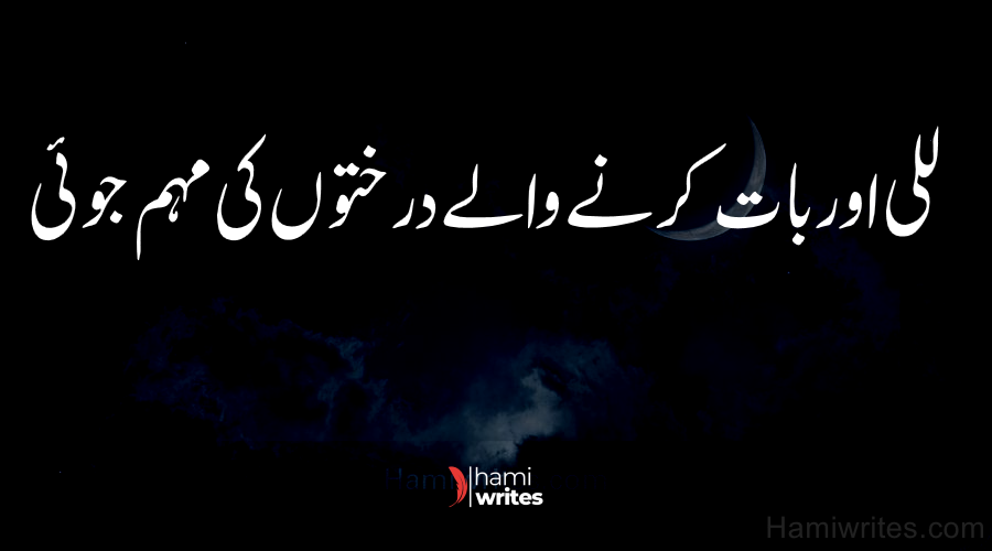 An Adventures of Lily and A Big Talking Trees | Urdu Kids Story | HamiWrites